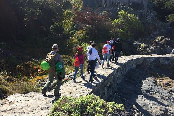 Zapallar Walking & Bird Watching Penguins From Valpo.Private Tour - Zapallar Beach, coastal walking, and lunch