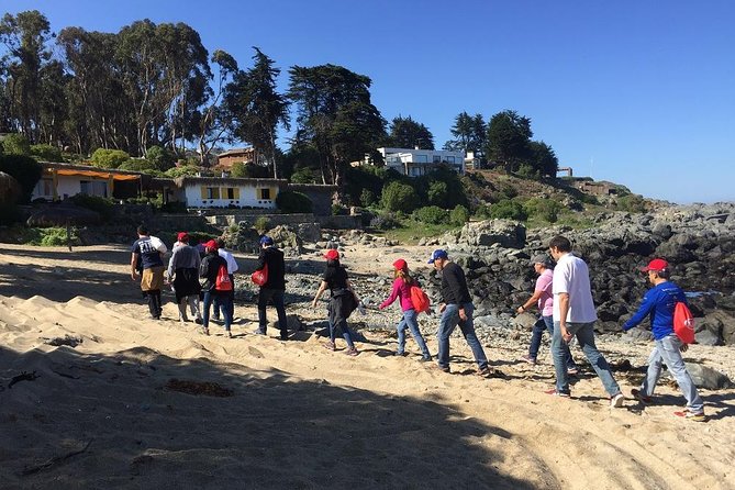 Zapallar Walking & Bird Watching Penguins From Valpo.Private Tour - Reñaca Beach closes the coastal circuit